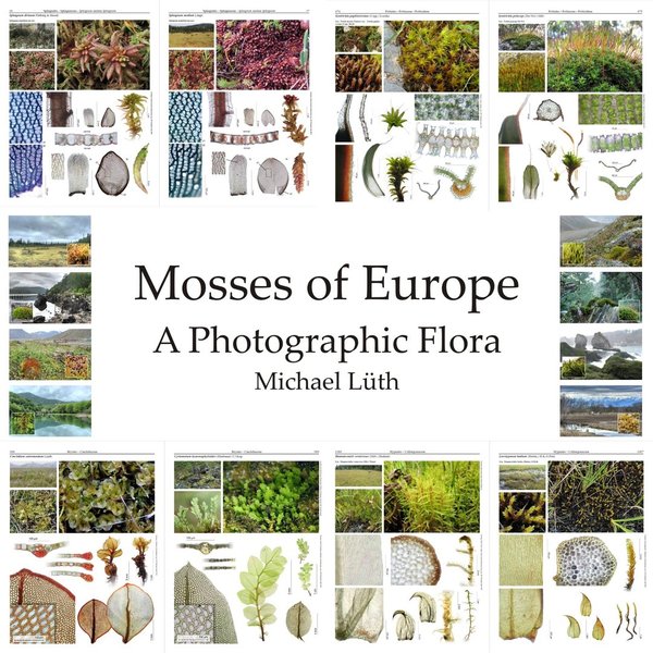 DVD-ROM Mosses of Europe - A Photographic Flora  - 3 vol. in one PDF on DVD
